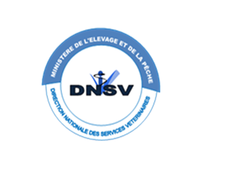 Logo DNSV